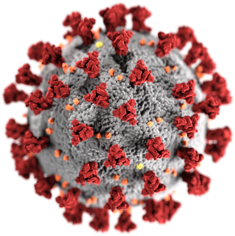 Coronavirus Disinfection in Marin